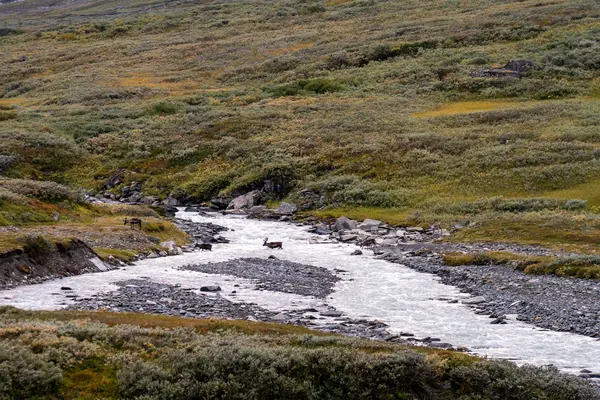 Sarek National Park — photo 7
