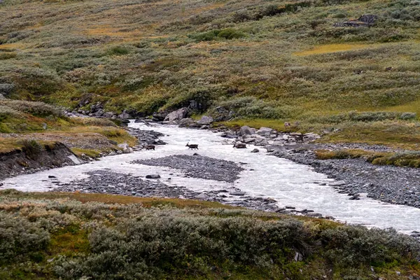 Sarek National Park — photo 25